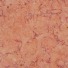 Tropical Rosa - Zamzam ME18-2