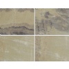 Fossil Mint Sandstone