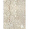 Shell Beige Limestone