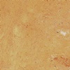 Travertine Giallo Persiano