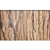 Walnut Travertine