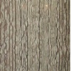 Fantastic Wooden Marble