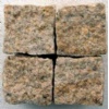 paving stone
