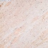 Ivory Cream Granite