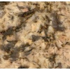 Golden Persa granite