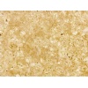 Niwala Gold