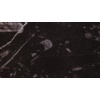 Fossil Black marble