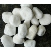 white pebble