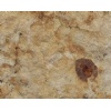 SUNSHINE GOLD STONE  Quartzite