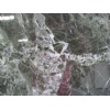 Rosso Green marble