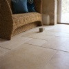 Seashell Limestone Tiles, Slabs