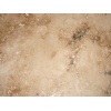 Rustic Travertine HF