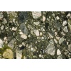 Green Marinace