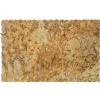 Lapidus Golden