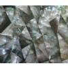 the compact shellfish mosaic