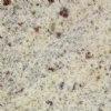 Kashmir White granite