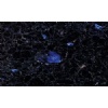 Volga Blue