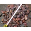 Natural Maroon Pebble Stone