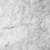 Avenza marble tile- White Marble