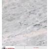 Caballero White