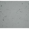 Quartz Slab and cut to size Enc91023