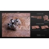 Red Travertine French Pattern Set - Paver