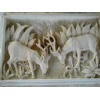 Relief Fauna