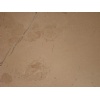 Verona Beige Marble