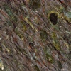 Hari Green