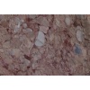 Brunello Quartzite