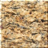 Santa Cecilia Gold Granite