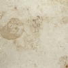 Jura Beige Honed Limestone