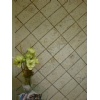 Classic Coral Stone Tiles