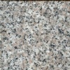 Granite G636 granite tiles