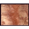 Pink Kerman Marble