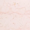 Fiorito Decora