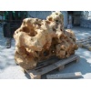 Sponge Rock