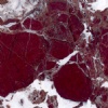 Rosso Levanto marble