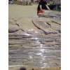 Flagstone
