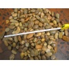 Natural Yellow Pebble Stone
