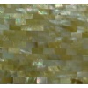 the compact shellfish mosaic