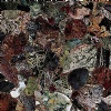 Ocean Jasper semiprecious stone