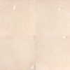 Fossil Cream
