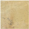 Mint Fossil Sandstone