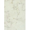 Bianco Perlino