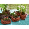 Volcanic Stone Flower Pot