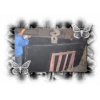 China Black Granite Zhangqiu Black Fuding Black