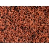 Maple Red