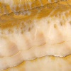 Tiger Onyx