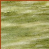 Verde Laguna marble